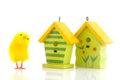 Easter chicks with bird houses Royalty Free Stock Photo