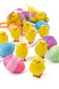 Easter chicks with eggs Royalty Free Stock Photo