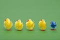 Easter chicks in a line Royalty Free Stock Photo