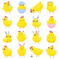 Easter chicks. Spring baby chicken, cute yellow chick and funny chickens isolated cartoon vector illustration set Royalty Free Stock Photo