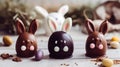 Easter Chocolate Bunnies Royalty Free Stock Photo