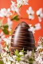 Easter chocolate egg with spring flowers on orange background