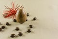 Easter chocolate egg. Royalty Free Stock Photo