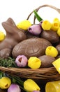 Easter chocolate hamper of eggs and bunny rabbits Royalty Free Stock Photo