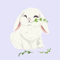 Easter. Christ Is Risen. Cute Easter grey rabbit holding a green blade of grass on a light background. For banners, Royalty Free Stock Photo