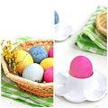 Easter collage multi-colored eggs in a wicker basket and pink egg in a white stand on a white background. Preparing for Easter Royalty Free Stock Photo