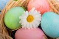 Easter and colored eggs Royalty Free Stock Photo