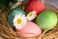 Easter and colored eggs Royalty Free Stock Photo