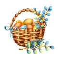 Easter colored eggs and pussy-willow twigs in a wicker basket. Hand watercolor illustration isolated on white background. Design Royalty Free Stock Photo