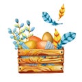 Easter colored eggs and pussy-willow twigs in a wooden box. Hand watercolor illustration  on white background Royalty Free Stock Photo