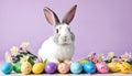 Easter colored eggs and rabbit on violet Royalty Free Stock Photo