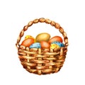 Easter colored eggs in a wicker basket. Hand watercolor illustration isolated on white background. Design for holiday products, Royalty Free Stock Photo