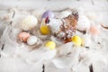 Easter, colored eggs, yellow, white, white tree, white background , feathersa , chicken eggs, quail eggs, chicken Royalty Free Stock Photo