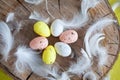 Easter, colored eggs, yellow, white, white tree, white background , feathersa , chicken eggs, quail eggs Royalty Free Stock Photo