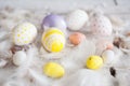 Easter, colored eggs, yellow, white, white tree, white background , feathersa , chicken eggs, quail eggs , Royalty Free Stock Photo