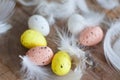 Easter, colored eggs, yellow, white, white tree, white background , feathersa , chicken eggs, quail eggs Royalty Free Stock Photo