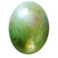 Easter colored green egg, the birth of life, on a white background Royalty Free Stock Photo