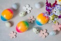 Easter colored rainbow eggs with spring flowers, top view on gray background Royalty Free Stock Photo