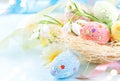 Easter colorful eggs background. Beautiful colorful eggs with decorations over blue wooden background, border design Royalty Free Stock Photo