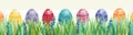 Easter colorful eggs, Fresh green spring grass Royalty Free Stock Photo