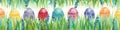 Easter colorful eggs, Fresh green spring grass Royalty Free Stock Photo