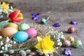 Easter colorful eggs in the nest with flowers on vintage wooden boards Royalty Free Stock Photo