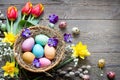 Easter colorful eggs in the nest with flowers on vintage wooden boards and empty space Royalty Free Stock Photo