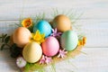 Easter colorful eggs with spring flowers blossom and green grass still life floral concept Royalty Free Stock Photo