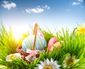 Easter. Colorful eggs in spring grass Royalty Free Stock Photo
