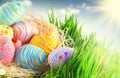 Easter. Colorful eggs in spring grass Royalty Free Stock Photo