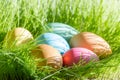 Easter colorful eggs in spring green grass in sunlight floral abstract background