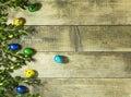 Easter colorfull eggs with leaves Royalty Free Stock Photo