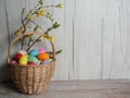 Basket with colorful eggs and spring branches of forsythia with leaves and yellow flowers on a wooden background. Royalty Free Stock Photo