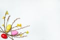 The border is made of branches of forsythia with yellow flowers, willow with fluffy buds and colored eggs on a white background.