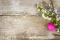 Easter composition with branches of spring flowers and an Easter egg on a rustic background, top view, flat lay, copy space Royalty Free Stock Photo