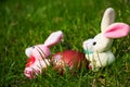 Easter composition with bunny who robs the egge