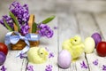 Easter composition with chikens, eggs and hyacinth spring flowers in the basket