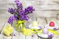 Easter composition with chikens, eggs and hyacinth spring flowers