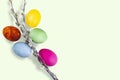 Easter composition, color eggs and spring tree branches on light green, top view, close-up, place for text, flat lay and copy