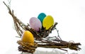 Easter composition with a colored egg in the nest