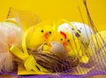 Easter composition, colorful eggs, chicken in nest, color feather Royalty Free Stock Photo