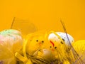 Easter composition, colorful eggs, chicken in nest, color feather Royalty Free Stock Photo