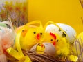 Easter composition, colorful eggs, chicken in nest, color feather Royalty Free Stock Photo