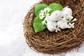 Easter composition - decorative nest with speckled eggs