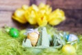 Easter composition with an egg box filled with colorful fake eggs Royalty Free Stock Photo