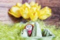 Easter composition with an egg box filled with one egg plastered with a funny face Royalty Free Stock Photo
