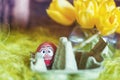 Easter composition with an egg box filled with a egg plastered with a funny face Royalty Free Stock Photo