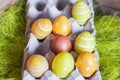 Easter composition with egg box filled with seven fake eggs and a real brown egg Royalty Free Stock Photo