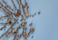 Branches of spring flowering willow and quail eggs on a blue background. Easter.