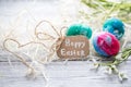 Easter composition with flowers Royalty Free Stock Photo